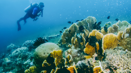 Dives of the Philippines