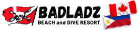 BADLADZ Logo 2