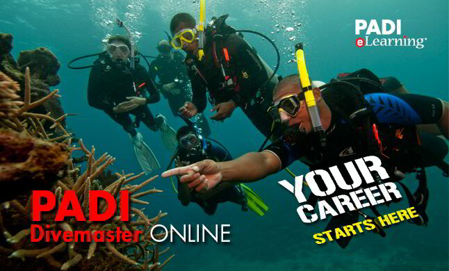 PADI Courses / Scuba Diving