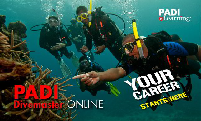 PADI Courses / Scuba Diving