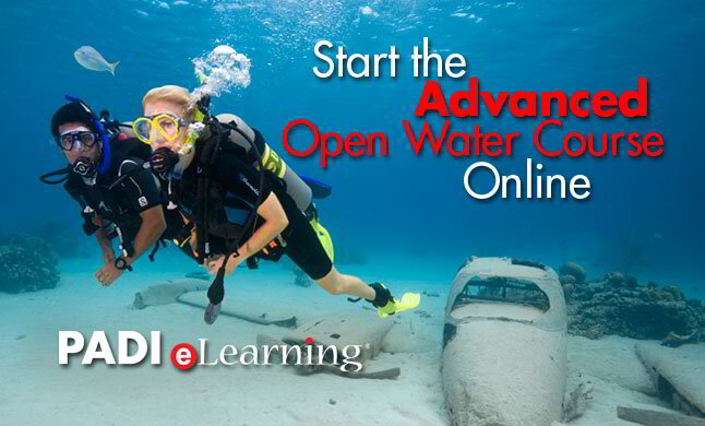 PADI Courses / Scuba Diving