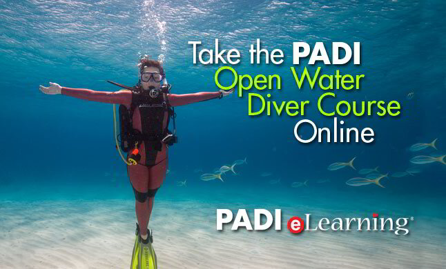 PADI Courses / Scuba Diving