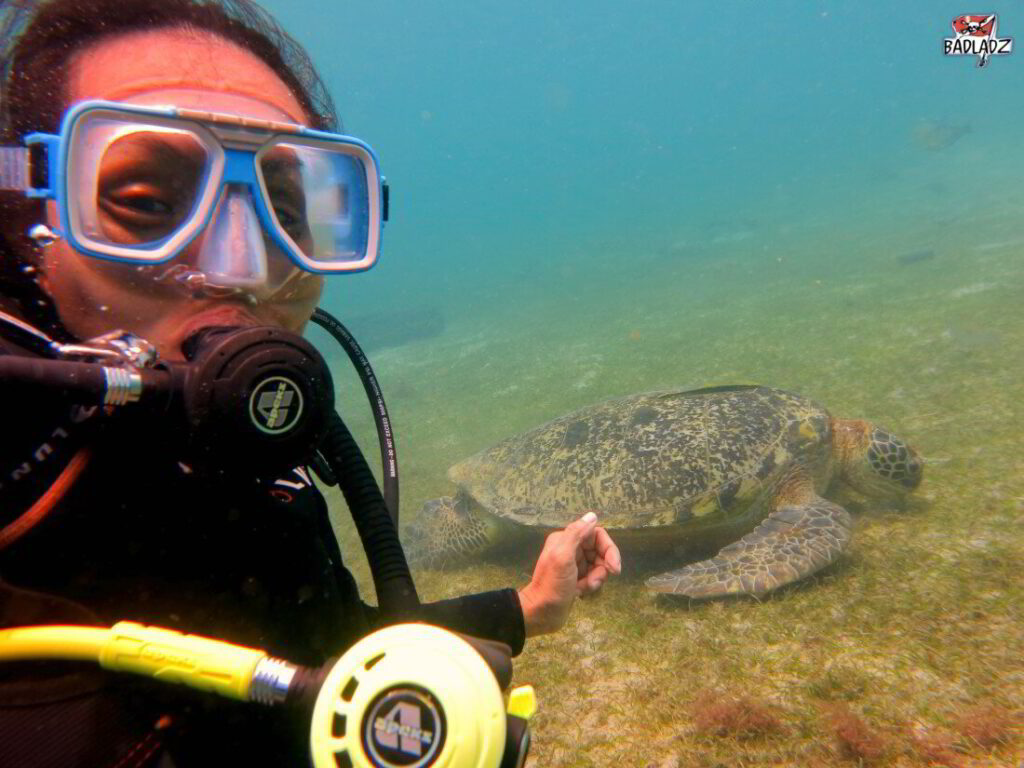 puerto galera scuba diving