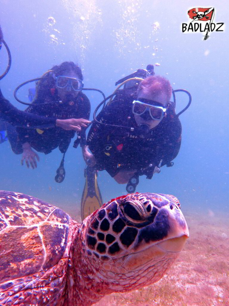 puerto galera scuba diving