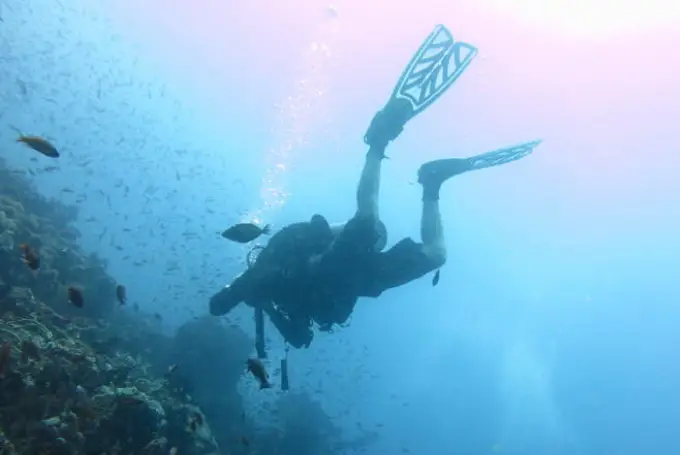 best and top things to do in puerto galera / Scuba Diving Tips for Beginners
