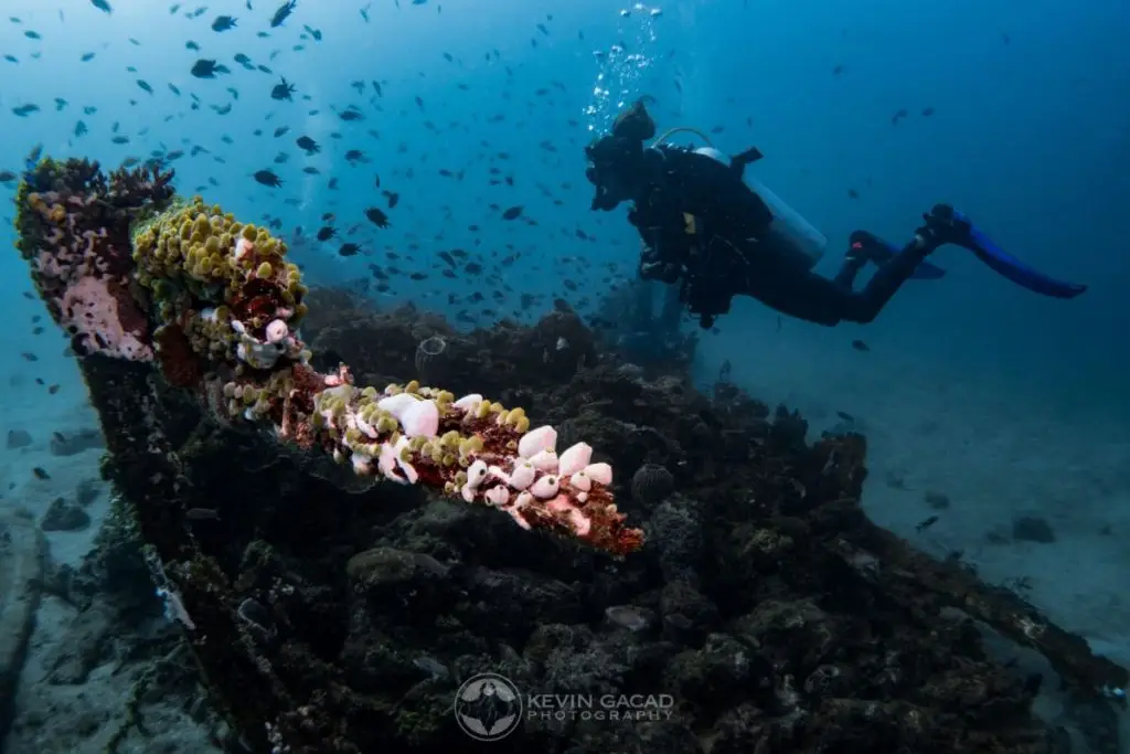dive shop