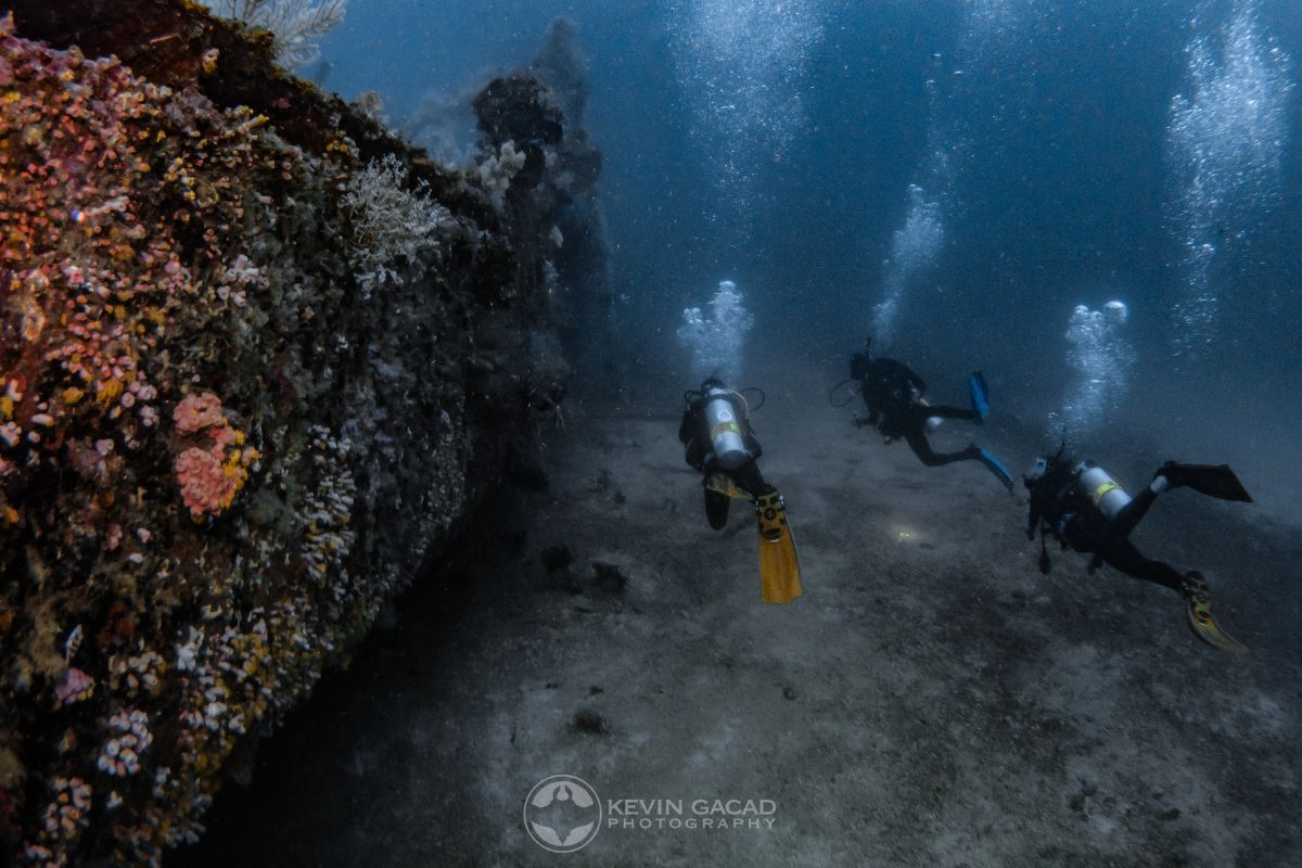 puerto galera scuba diving