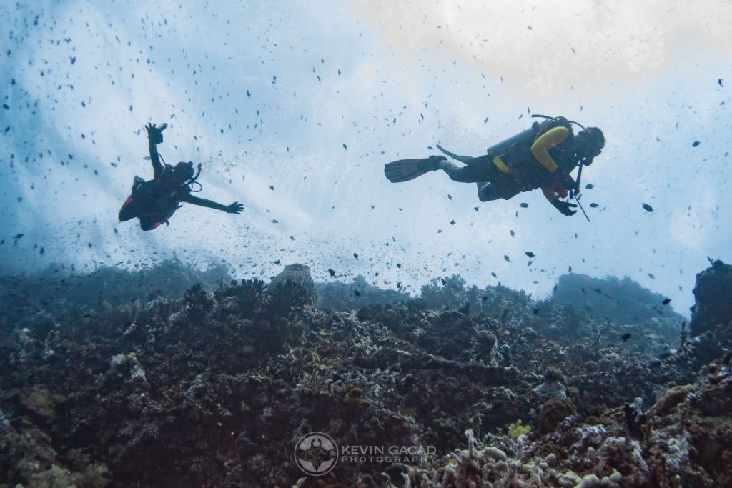 Scuba Diving at Verde Island