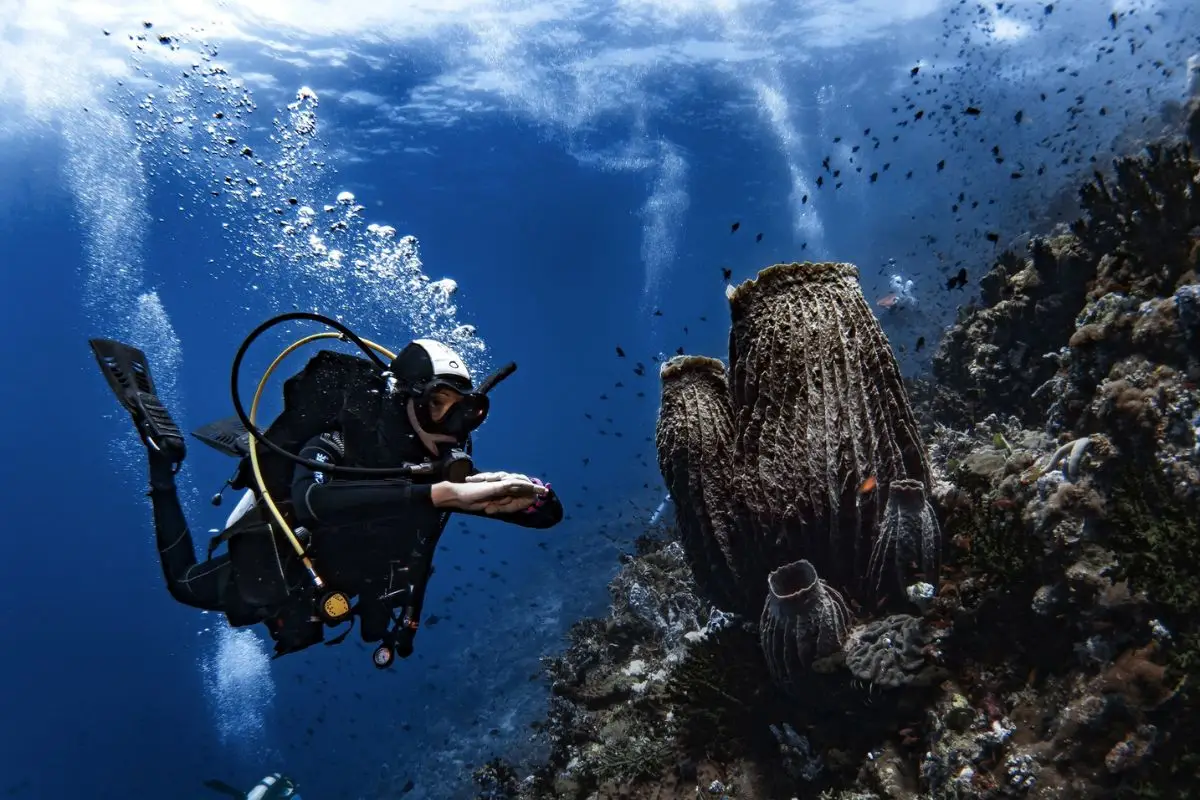 BADLADZ Scuba Diving-18