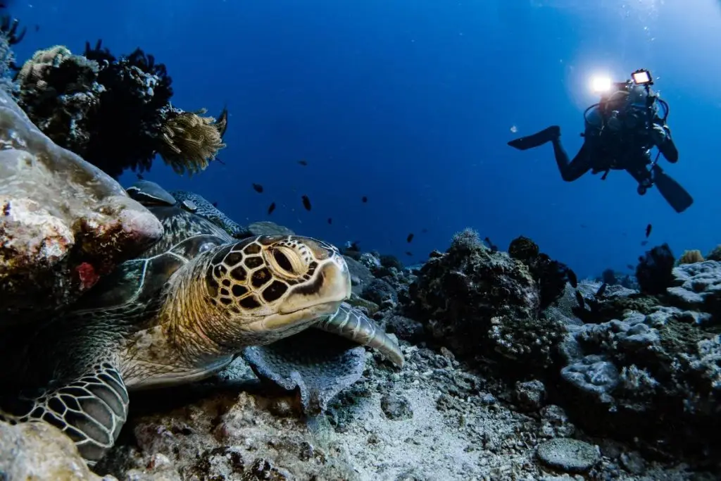 BADLADZ Scuba Diving