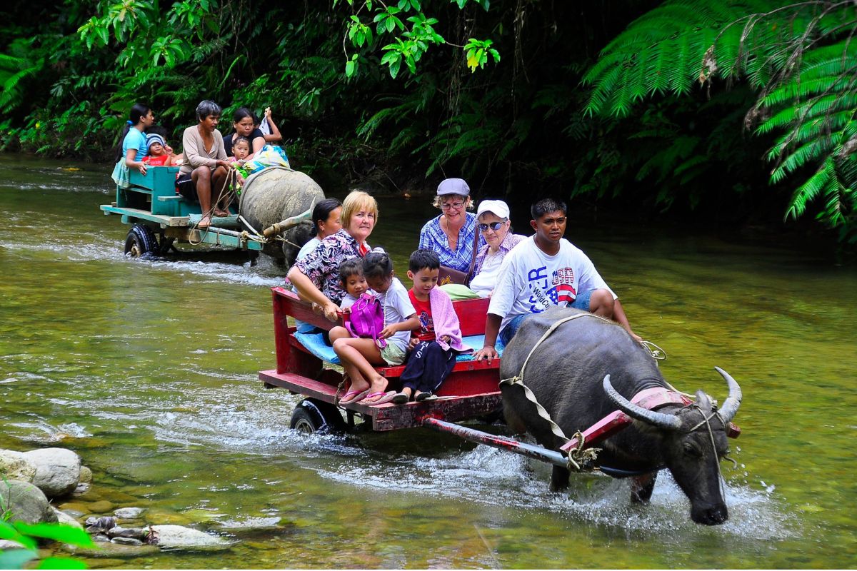 Puerto Galera Inland Tour / Tamaraw Falls / Tukuran Falls