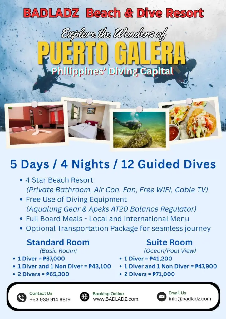 12 Dives 4 nights