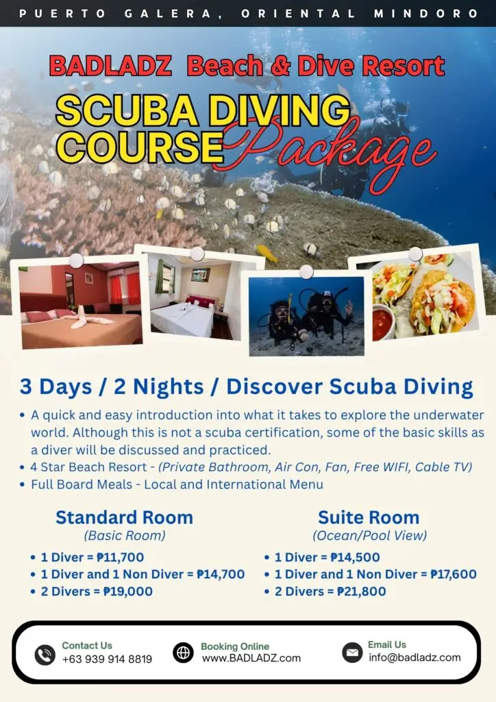 DSD Package