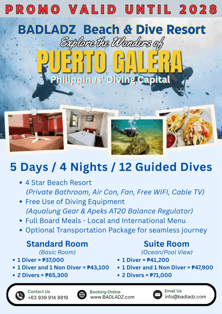 12 Dive Package