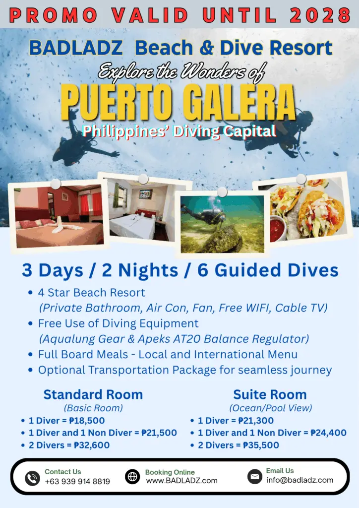 6 Dives Package